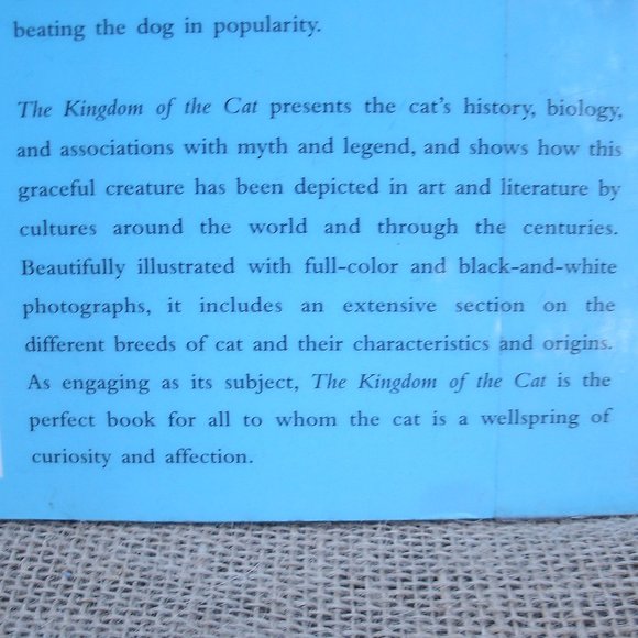 The Kingdom of the Cat by Roni Jay - Picture 15 of 16